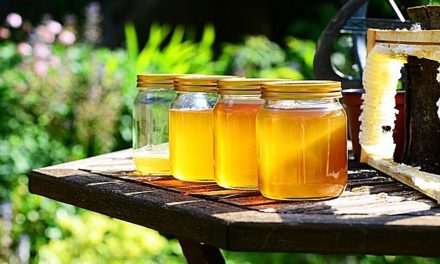 40 Uses For Honey That Will Blow Your Socks Off  : Body, Mind, Soul & Spirit – UPDATED DAILY! | BodyMindSoulSpirit.com