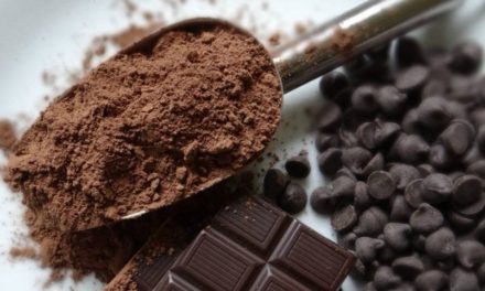 Get some brain support from cocoa and chocolate