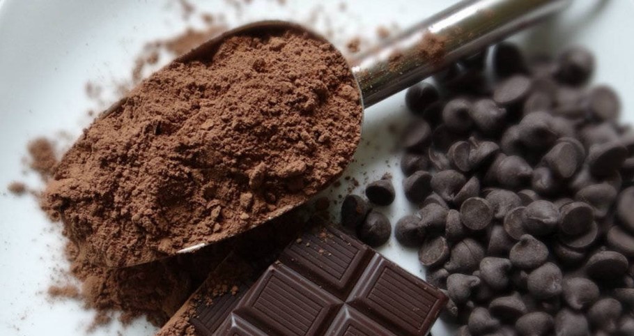 Get some brain support from cocoa and chocolate